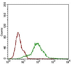 TD-306213.jpg