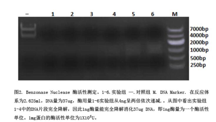 TD-CSE00009_2.jpg