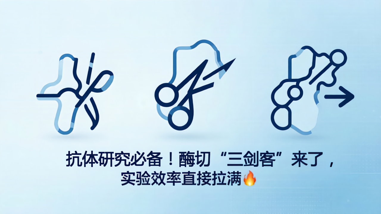 三剑客01.png