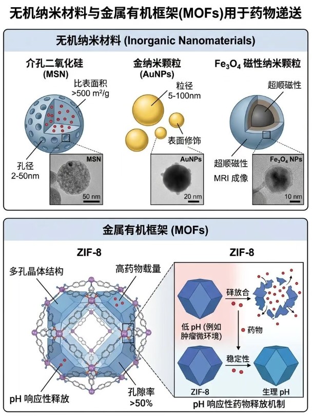 无机纳米材料与金属有机框架(MOFs)用于药物递送.jpg