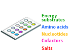 Invitro-service-content-2.png
